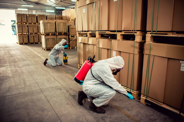 Best Emergency Pest Control  in Newton, NJ