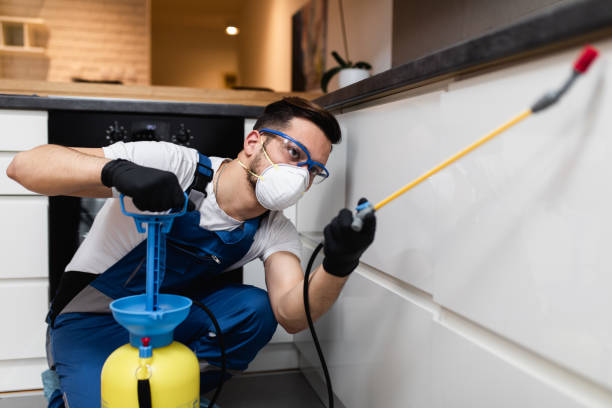  Newton, NJ Pest Control Pros