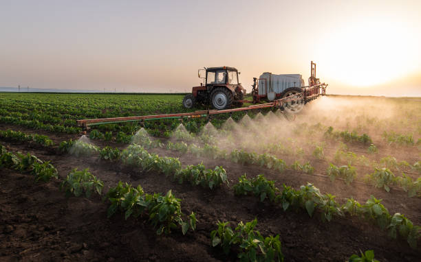 Best Mosquito Control Services  in Newton, NJ