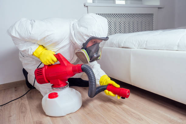 Best Insect Control  in Newton, NJ