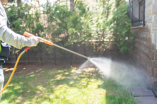 Best Pest Removal Services  in Newton, NJ