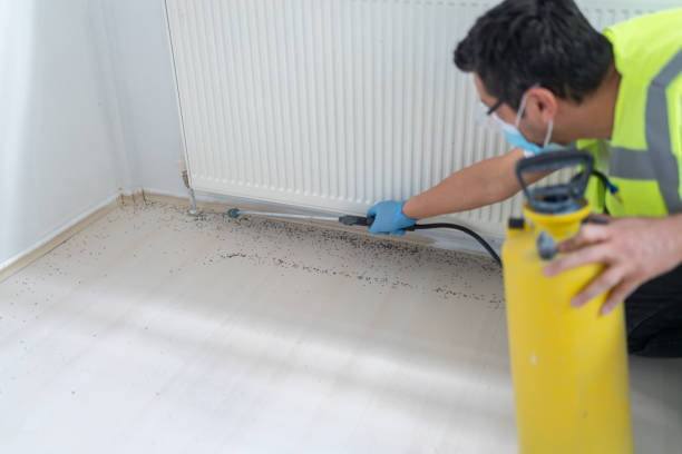 Reliable Newton, NJ Pest Control Solutions