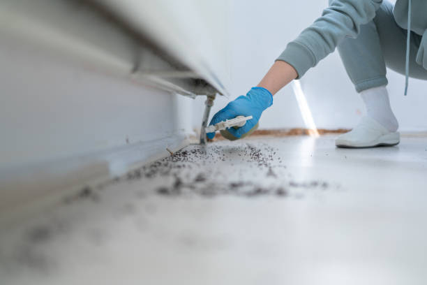 Best Pest Inspection Near Me  in Newton, NJ