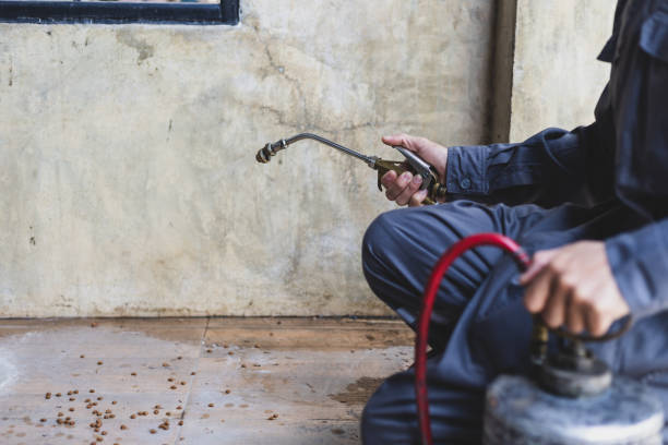 Best Local Pest Control Services  in Newton, NJ